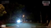 未栓绳宠物狗闯马路被撞死，女车主被判主责赔2000元