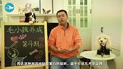 狗学狼吼是什么意思？教你通过狗叫读心