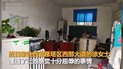 夫妻吵架47岁保姆掌掴女主人 女主人哭诉衣着大胆还挑拨关系
