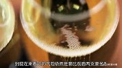 小黑品酒-20130528-《小黑品酒》13期——欢腾的气泡酒 champagne pannier