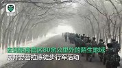 酷！武警新疆某机动支队新年度军事训练”硝烟四起“
