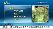 财经频道- 济南：蔬菜大量上市价格普遍下降