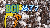 记得带节奏的BCI吗？它的官网悄悄把“抵制新疆棉”声明下架了