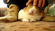 生活-让我睡一会儿吧