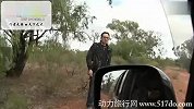 旅游-行天下-游走南半球第四集之狩猎