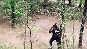 张伟丽林间独自训练！感受孤独成为真正强者