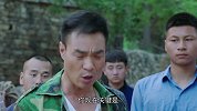 兰桐花开