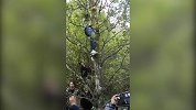 宝藏男孩的隐藏技能！刘昊然爬树上热搜 姿势专业一气呵成