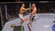 UFC-17年-UFC208自由格斗：波特舍vs尼克霖-专题