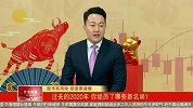 过去的2020年，你经历了哪些新名词？