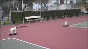 搞笑-20120322-(宠物奇趣)两只聪明狗狗滑板