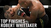 “五星”惠特克UFC终结时刻：击落九星 擒杀鳄鱼