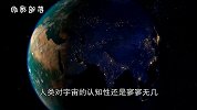 最孤独的流浪狗，至今在宇宙中漂浮，也是第一个离开地球的生物
