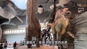 上海一博物馆多名家长纵容孩子翻越围栏，触碰摇晃标本，馆方回应
