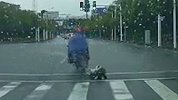 女童雨天后座跌落电瓶车 车流中追赶家长却被其一脚踹倒