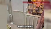 广州女子租房遇到“肠粉式户型”，求助网友支招改造，网友：乍一看以为住走廊了