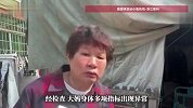 大妈照药袋标签一次吞21粒药，看说明书才发现只能吃1-2粒，妹妹急喊：再吃就要出事