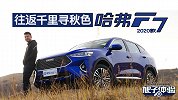 往返千里寻秋色 旭子体验哈弗F7 2020款