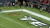 NFL-1516赛季-常规赛-第8周-休斯顿德州人20:6田纳西泰坦-精华