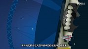 NFL-1718赛季-动画球队介绍：杰克逊威尔美洲虎-专题