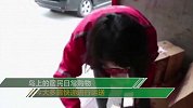 快递员2019年终成绩单：320万快递员送出630亿件快递