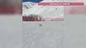 女生滑雪见狐狸，上秒夸可爱下秒被咬：咬完自己后又去咬别人了