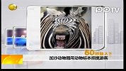加沙动物园用动物标本招揽游客