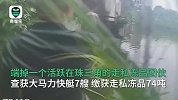现场曝光！广州警方海陆空全面出击捣毁走私团伙 劣质肉散落一地