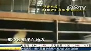 再探归真堂：熊胆产业链利益惊人