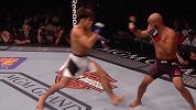 UFC-18年-UFC227预热 大力鼠证明自己仍然配得上冠军-专题