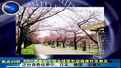 热点视线－20120514－报告称九成中国家庭拥有住房超世界水平