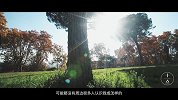 理想生活-张一山：曾经小小少年，如今风度翩翩