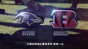 第八周—4—ravens@bengals