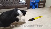 猫咪趁小主人睡着偷玩具车，怕不是成精了吧？看完忍住别笑