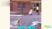 大风天的奇葩遭遇，虽然惨，但我很难不笑