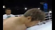 UFC-14年-终结者的UFC之路：莱斯纳怒欺韩国棒子-专题