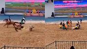 两马奔腾极速相撞演绎“人仰马翻”：人飞落马背，马被抬下场