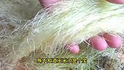 玉米须竟然能这么做，作用实在太厉害了