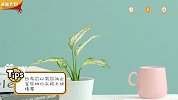 拯救植物杀手的你，学会这3招，植物烂根算我输！
