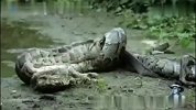 亚马逊蟒蛇大战