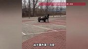 “从小到大第一次见”停车位上惊现“驴车”，目击者：五十多分钟没有移动
