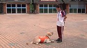 一条导盲犬的使命