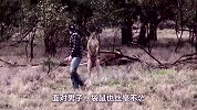 袋鼠去找狗子打架，对着狗子就是一顿乱踢，接下来请憋住别笑！