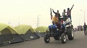 替代摩托车神技！国庆日临近，印度农民酝酿百公里“拖拉机游行”