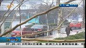 正月十五有小雨雪 大幅降温