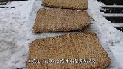 草席除螨虫的简单方法