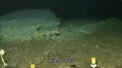 太震撼了！就在深海2000米深处 我们造出一“深海龙宫”