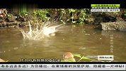 海南岛纪事-20140601
