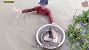 女孩听见水坑下有异响，果断扔下块猪肉，最后竟收获几十斤大鱼