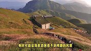 武功山去了后悔一辈子为什么？武功山旅游攻略及费用